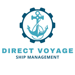 DVSM