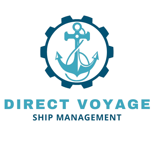 DVSM