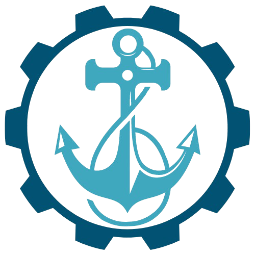 DVSM